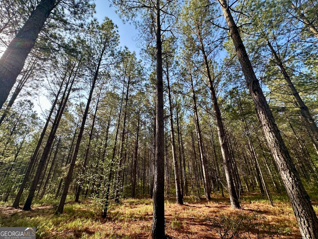 Photo of 0 J.W. Dunn Road, Warm Springs, GA 31830 (MLS # 10770071)