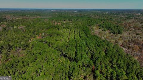 Photo of 0 Anderson Road #TRACT 1, Statesboro, GA 30458 (MLS # 10700092)