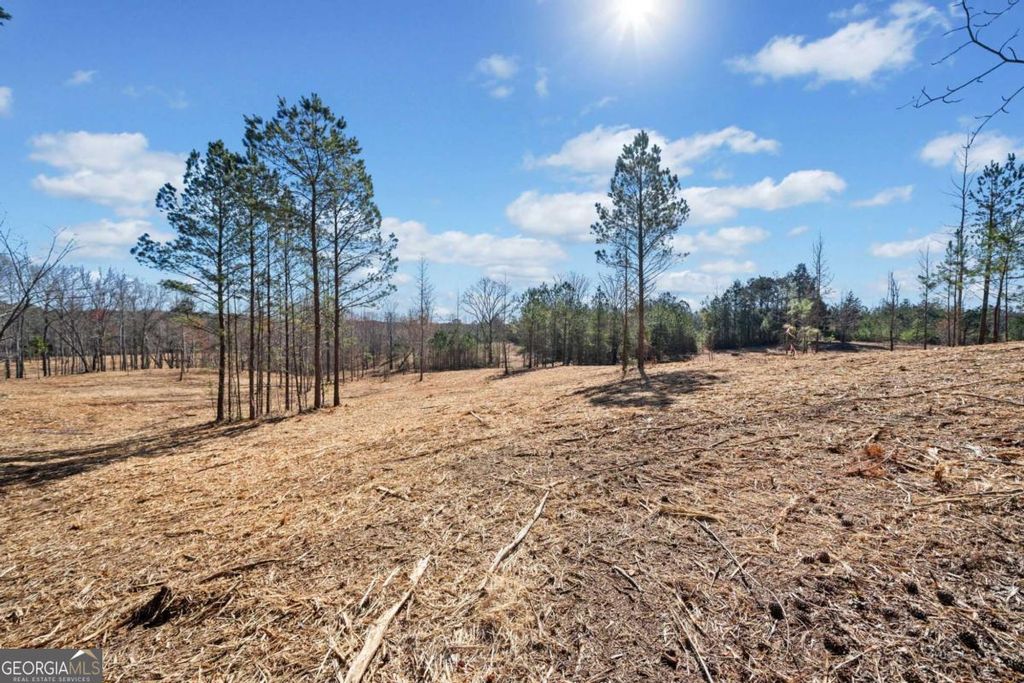 Photo of 460 Mt. Olive Church Lane, White, GA 30184 (MLS # 10667590)