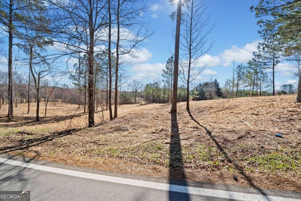 Photo of 460 Mt. Olive Church Lane, White, GA 30184 (MLS # 10667590)
