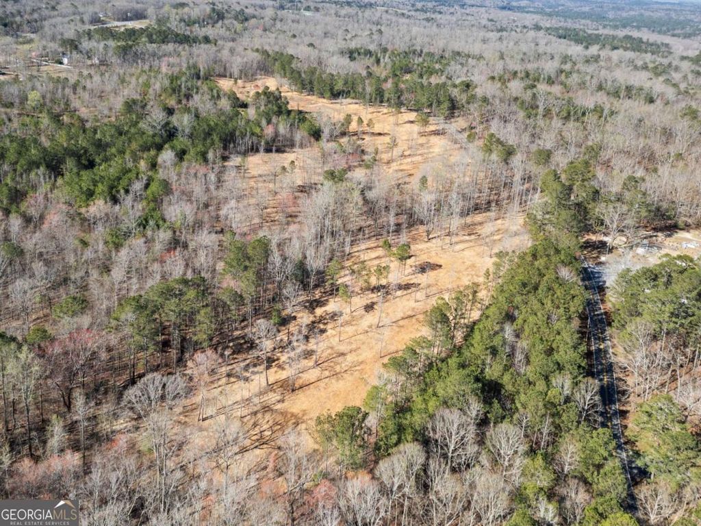 Photo of 460 Mt. Olive Church Lane, White, GA 30184 (MLS # 10667590)