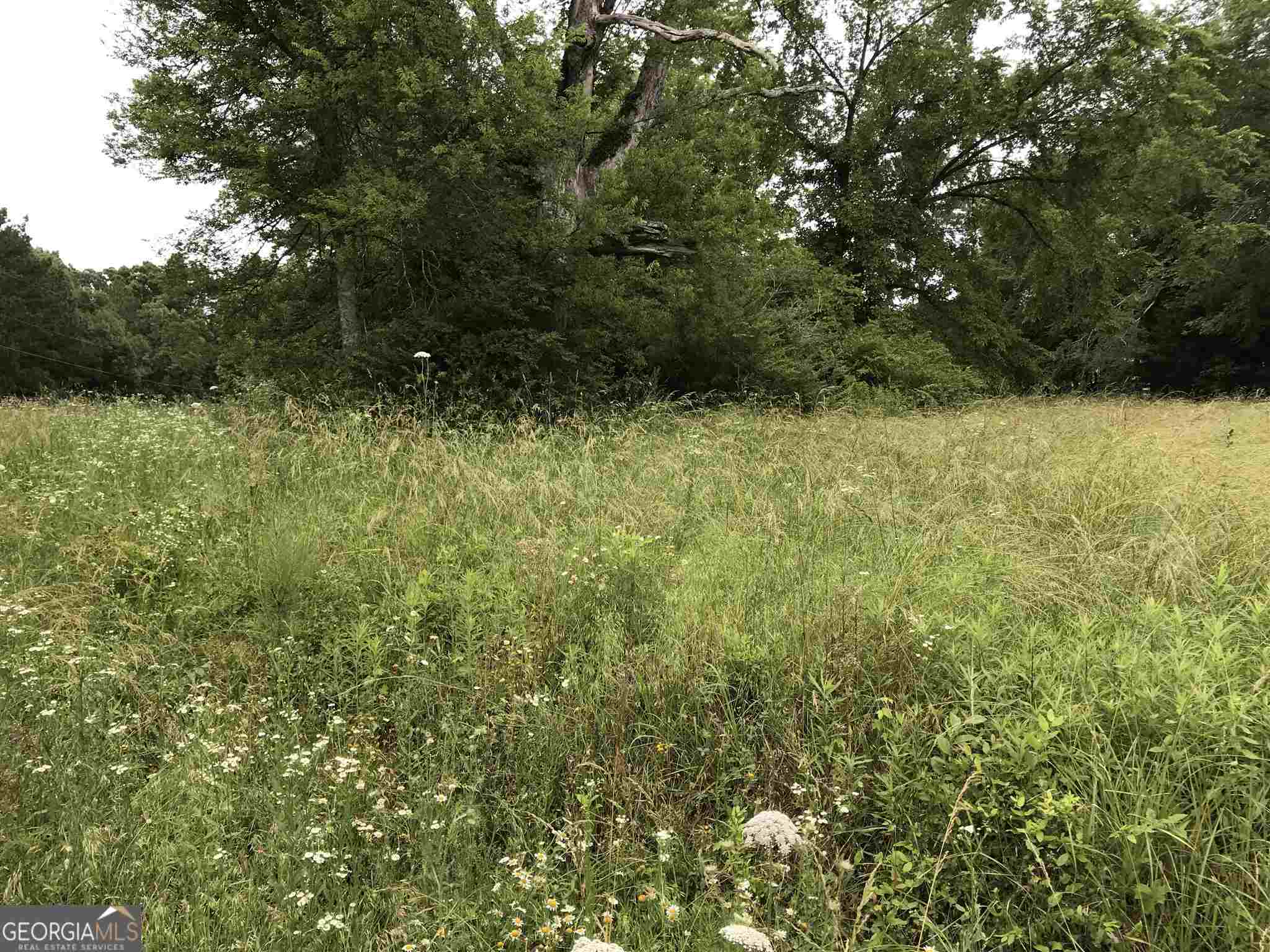 0 Horseshoe LOOP
