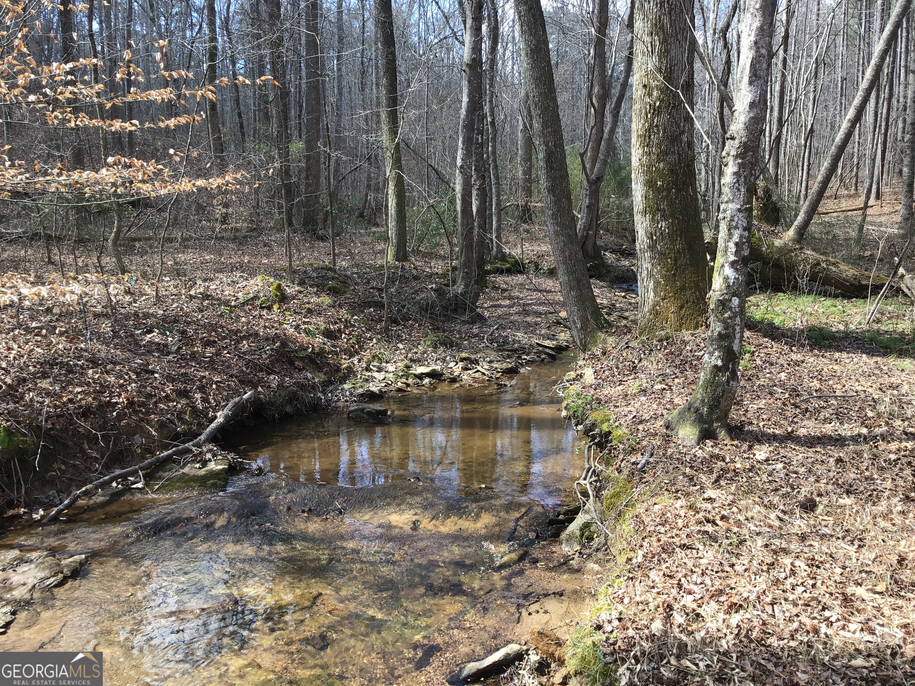 0 Johnson Mountain RD 7402