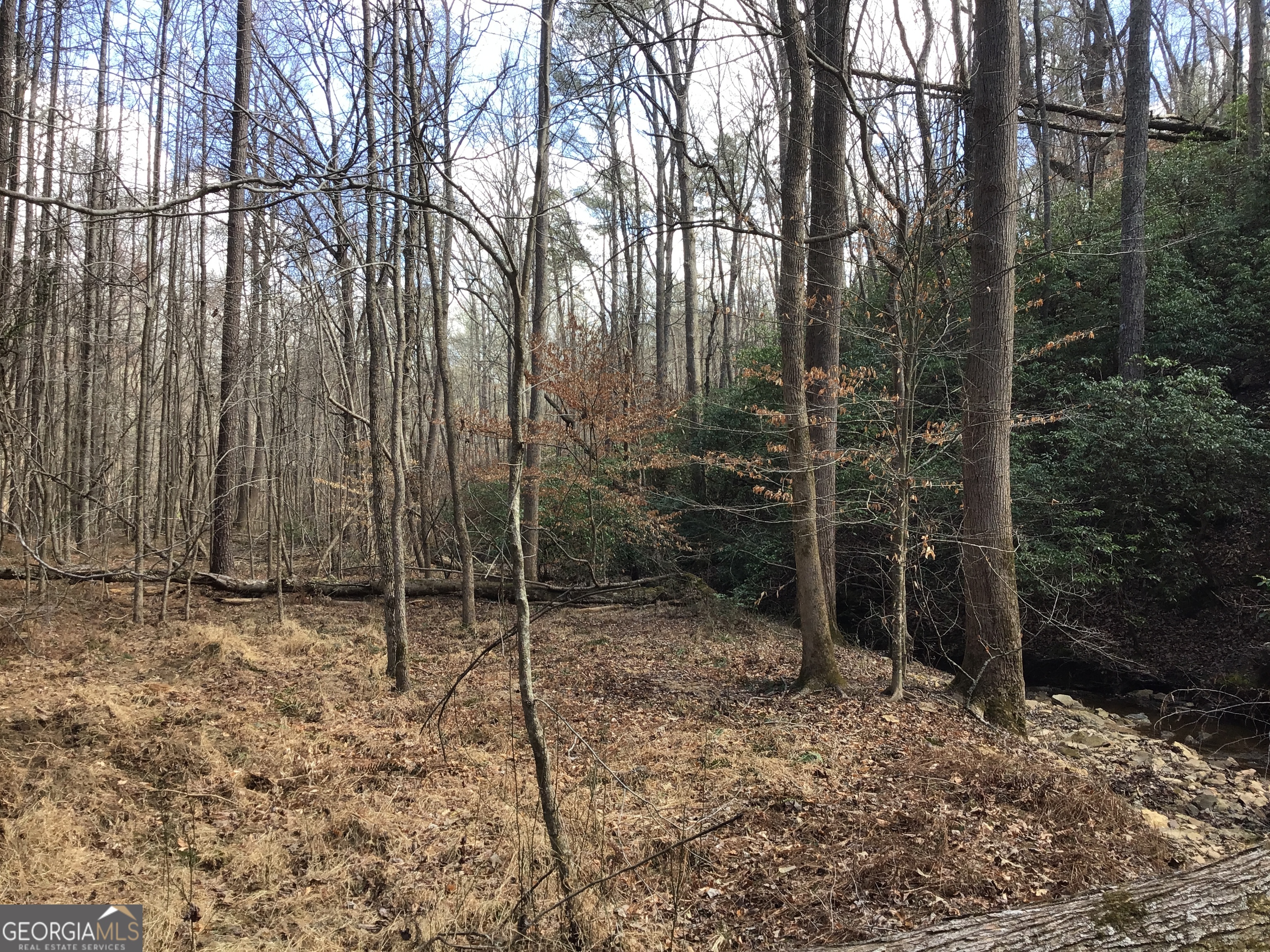 0 Johnson Mountain RD 7402