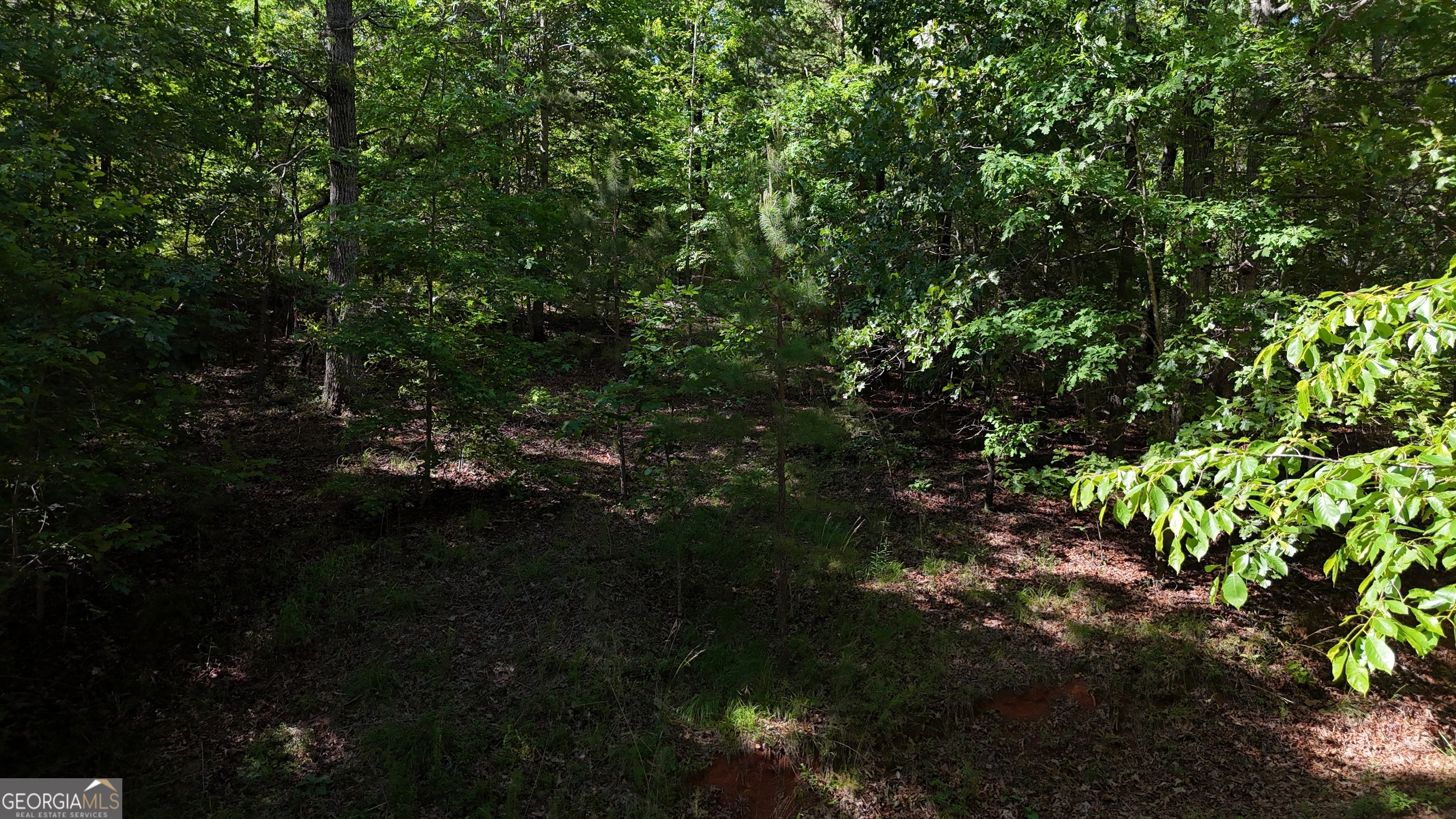 LOT 1 Cherry Ridge LN
