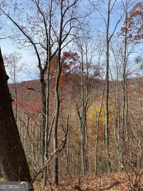 L334 335 Brushy Top DR 334 335 Ellijay GA 30540
