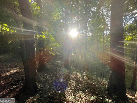 Photo of 1218 Hilton Drive, Ranger, GA 30734 (MLS # 10182401)