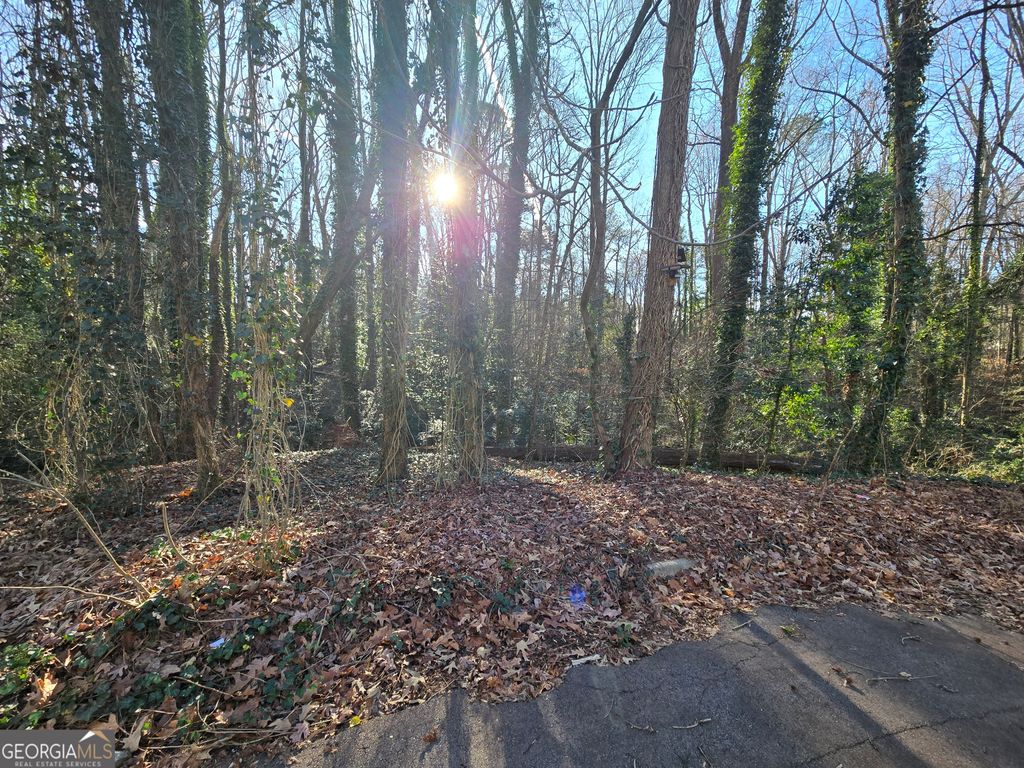 Photo of 32403246 Baxberry Court, Decatur, GA 30034 (MLS # 10680149)