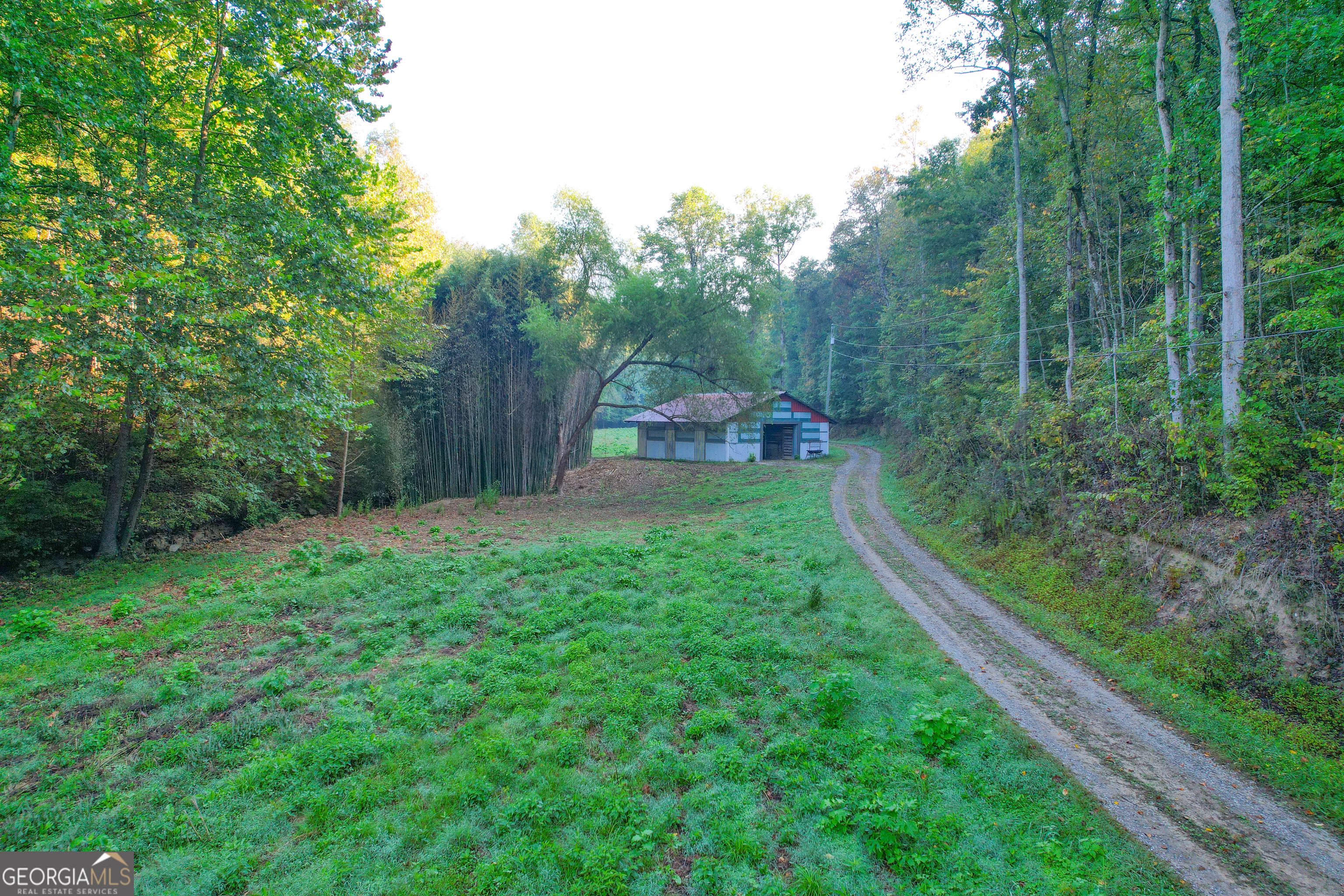183 +/- Acres on Rambling RD