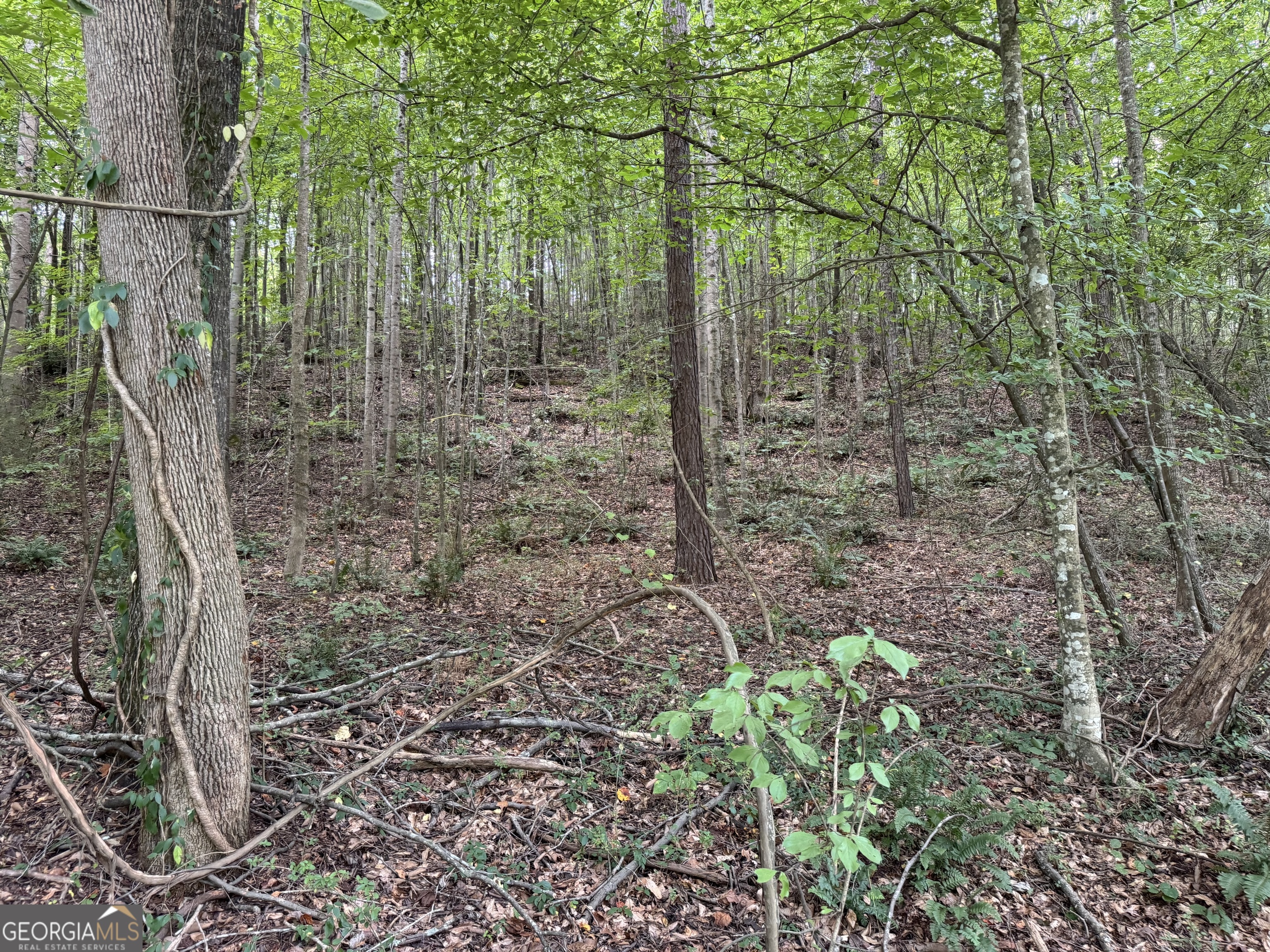 TRACT 2 Harbert Valley RD