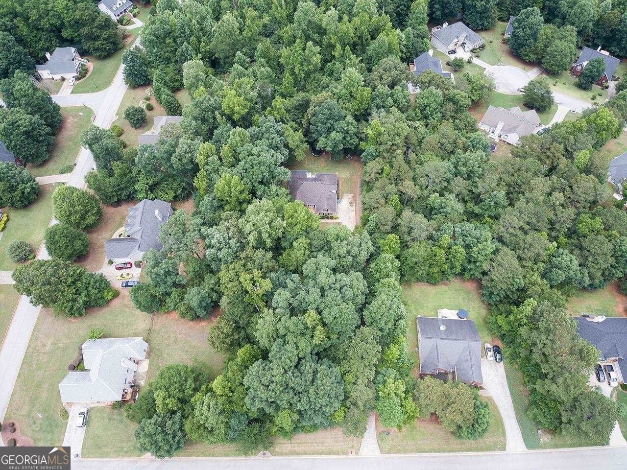 155 Rose Walk DR