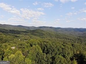 3005 Wild Turkey KNL