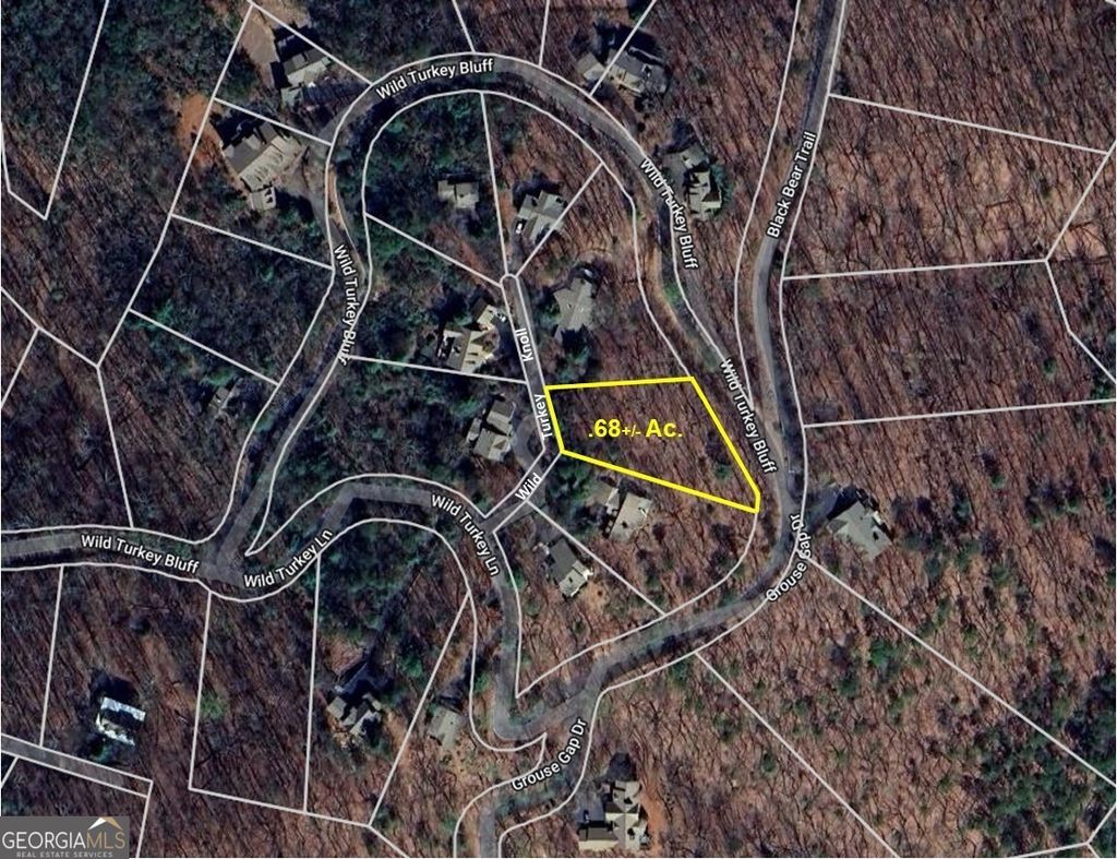 Photo of 3005 Wild Turkey Knoll, Jasper, GA 30143 (MLS # 10696664)