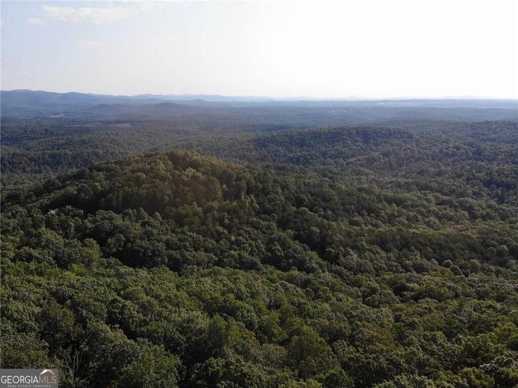 3005 Wild Turkey KNL