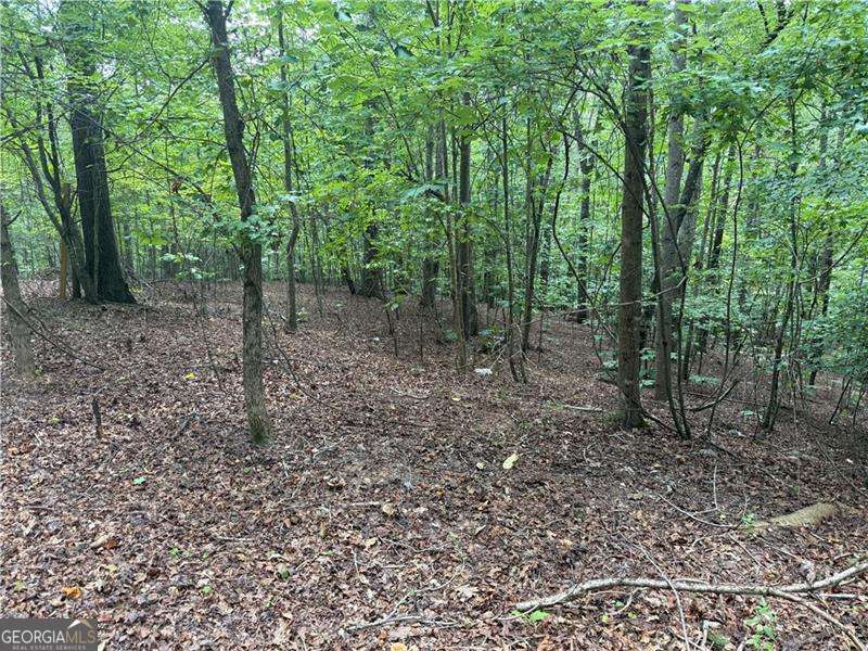 4.28 ACRES in CHEROKEE COUNTY. No HOA. Great home location. BUILD your dream home in CANTON! Looking for the perfect place to build your dream home. This property offers the ideal combination of privacy, convenience, and freedom. Bring your own builder - create a custom home tailored exactly to your vision. Utilities ready - electric and water available at the property. Prime location - Minutes to Downtown Canton, The Mill, shopping, dining, and entertainment. Top rated schools in excellent school district. Whether you are looking to build now or invest for the future, this property is a rare find in one of Cantons most desirable areas. Don't miss this chance to create the home you've always wanted - schedule a visit today.