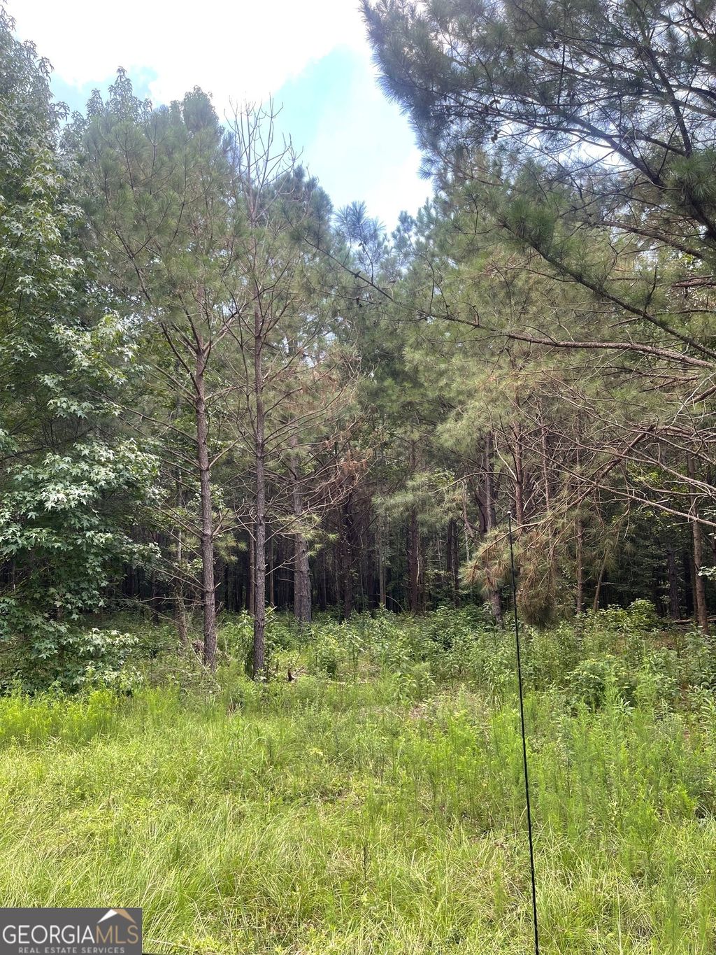 Photo of 4 Main Street, Milner, GA 30257 (MLS # 10711255)