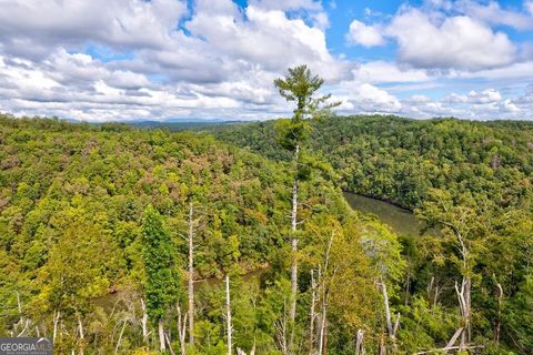 Photo of 931 Myna Drive, Ellijay, GA 30540 (MLS # 10621907)