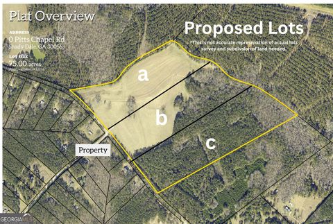Photo of 0 LOT C Pitts Chapel Road, Monticello, GA 31064 (MLS # 10766110)