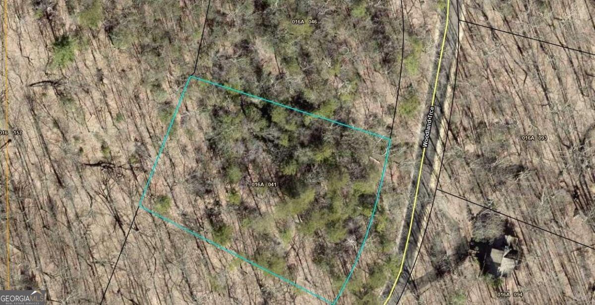 615 Woodland TRCE