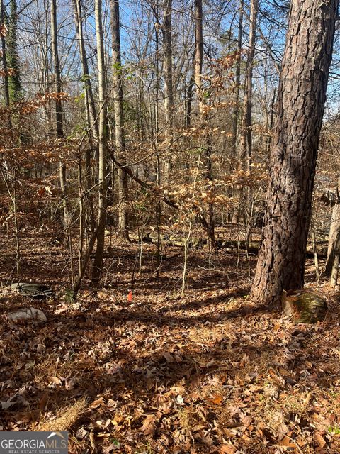 0 Continental trail Gainesville GA 30506