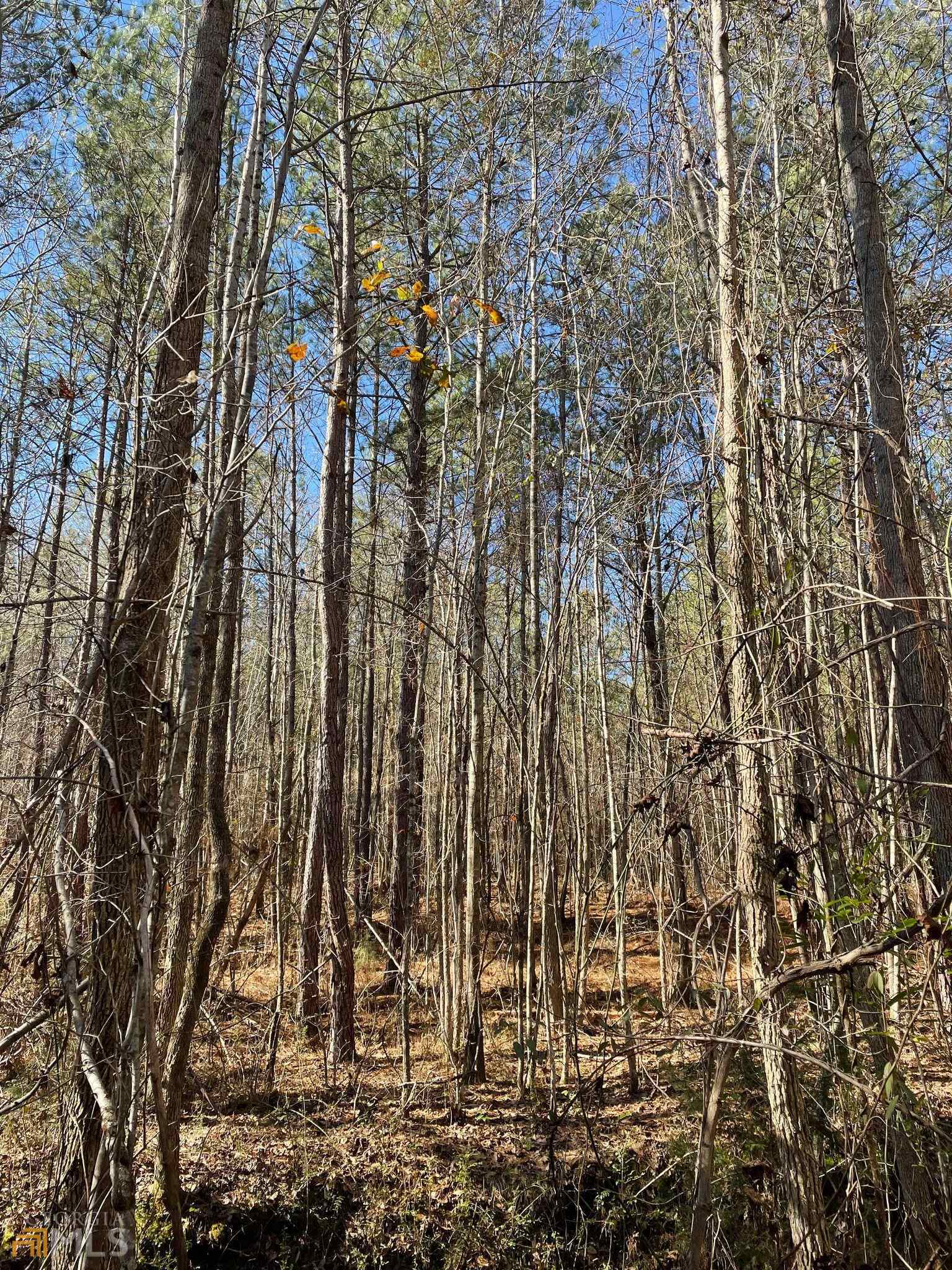 Photo 3 of 7 of 0 County Road 18 land