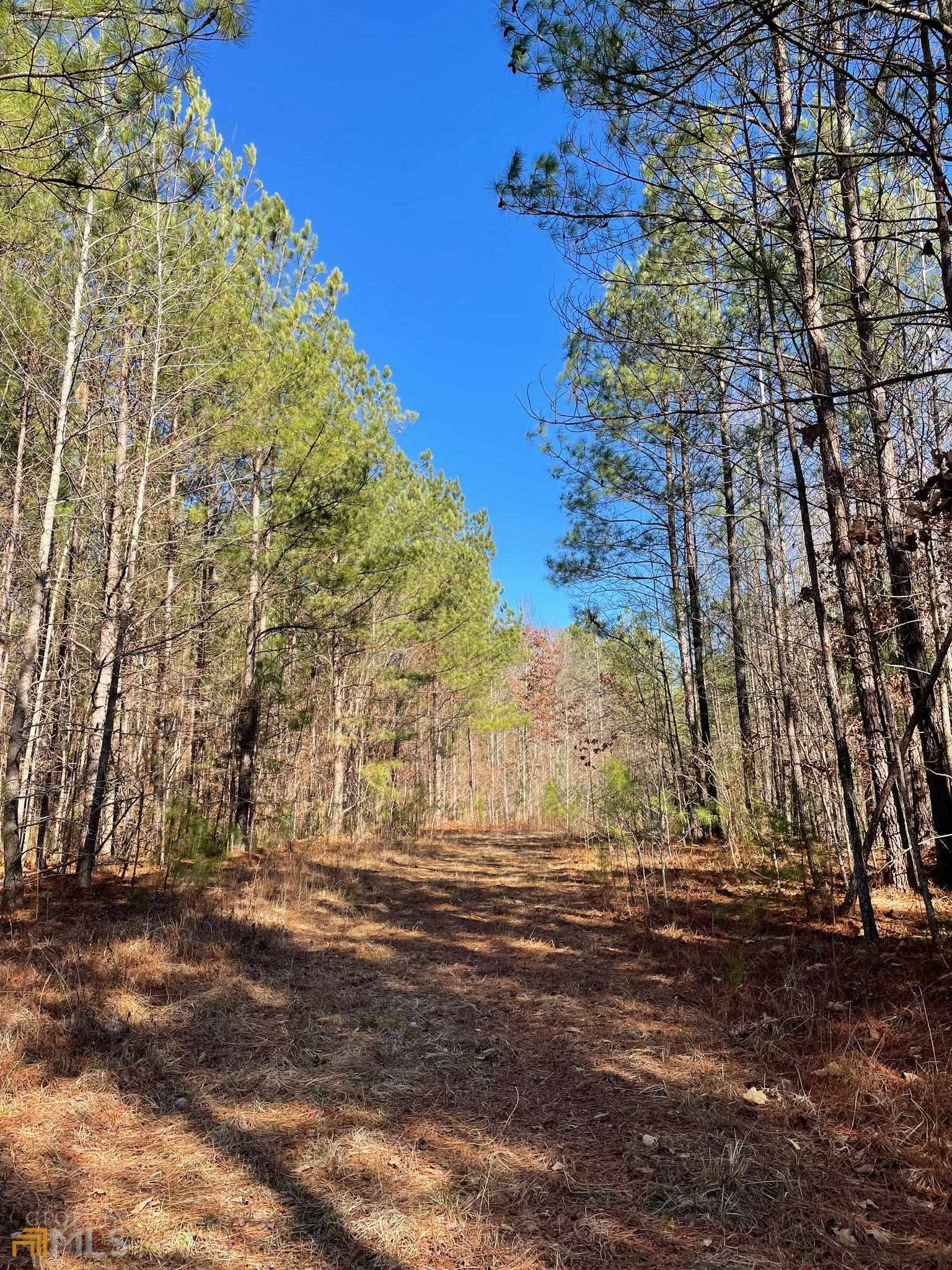 Photo 1 of 7 of 0 County Road 18 land