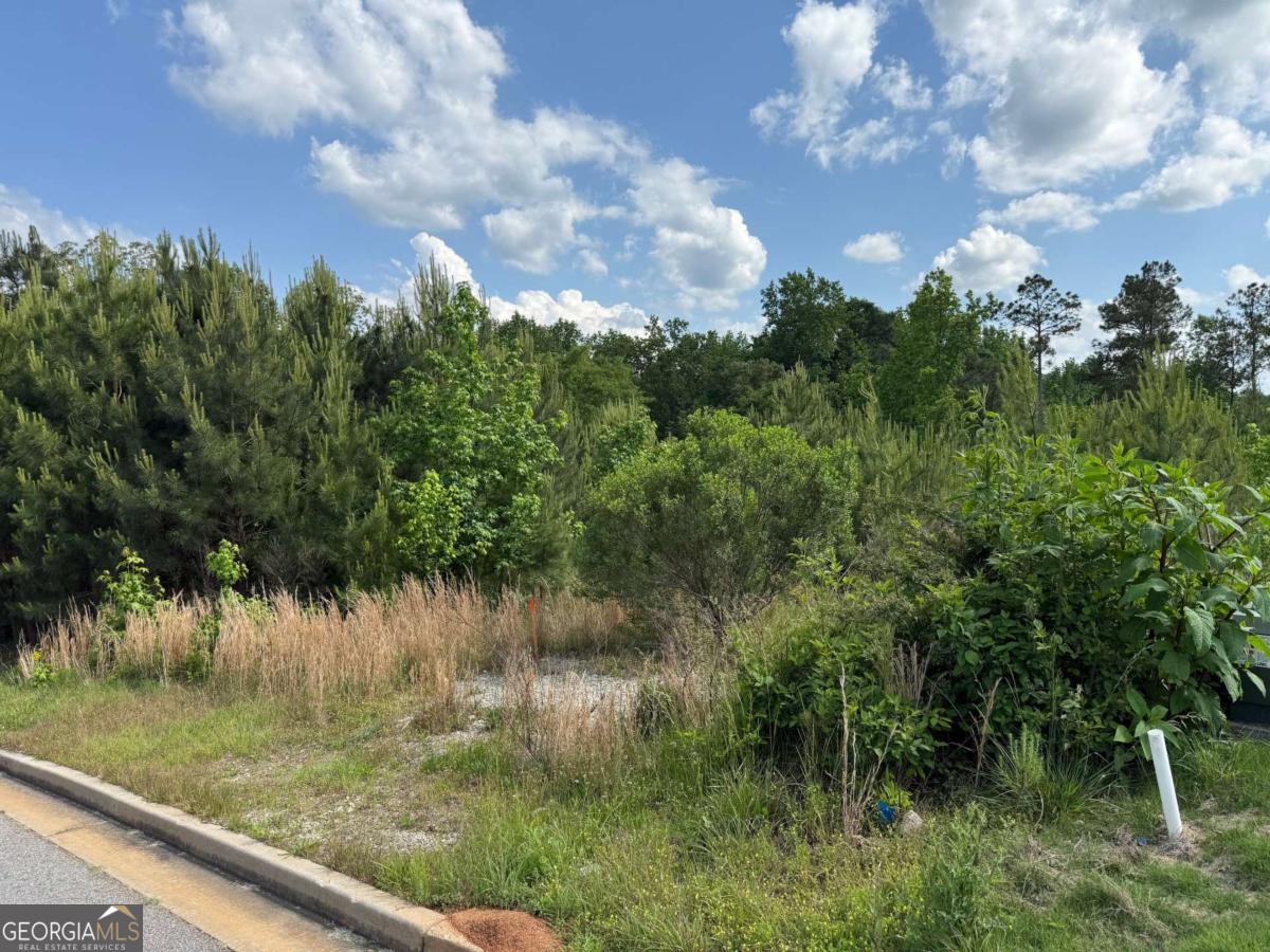 40 Arbor Springs PKWY