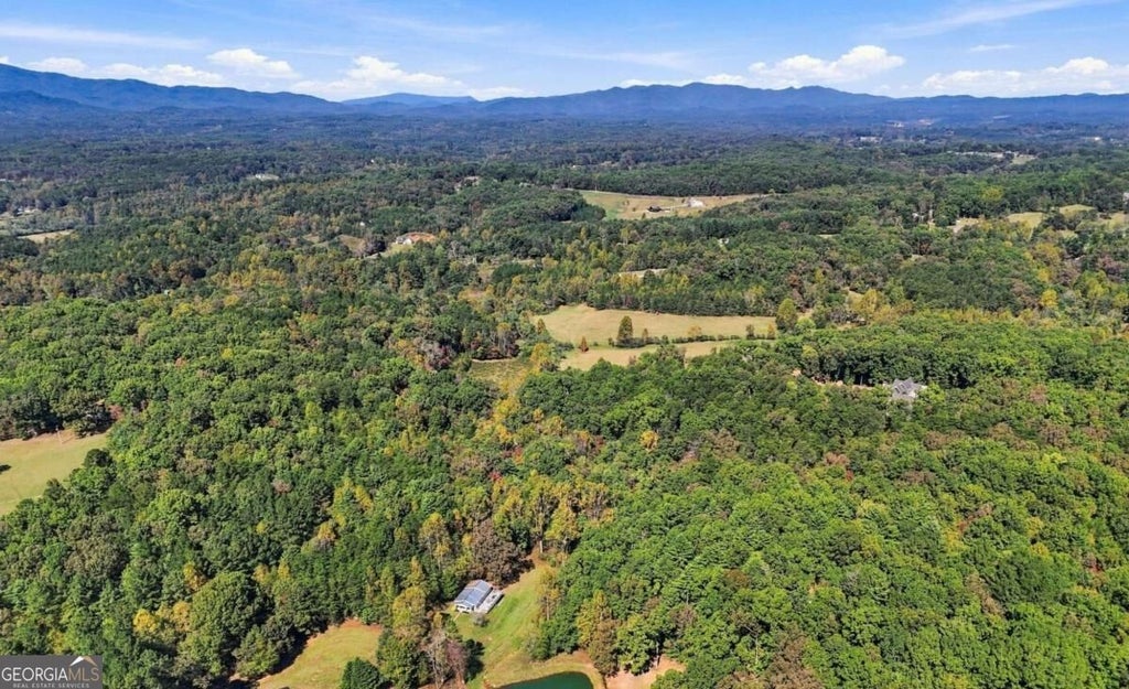 Photo of 456 Nicholson Road, Blue Ridge, GA 30513 (MLS # 10874774)