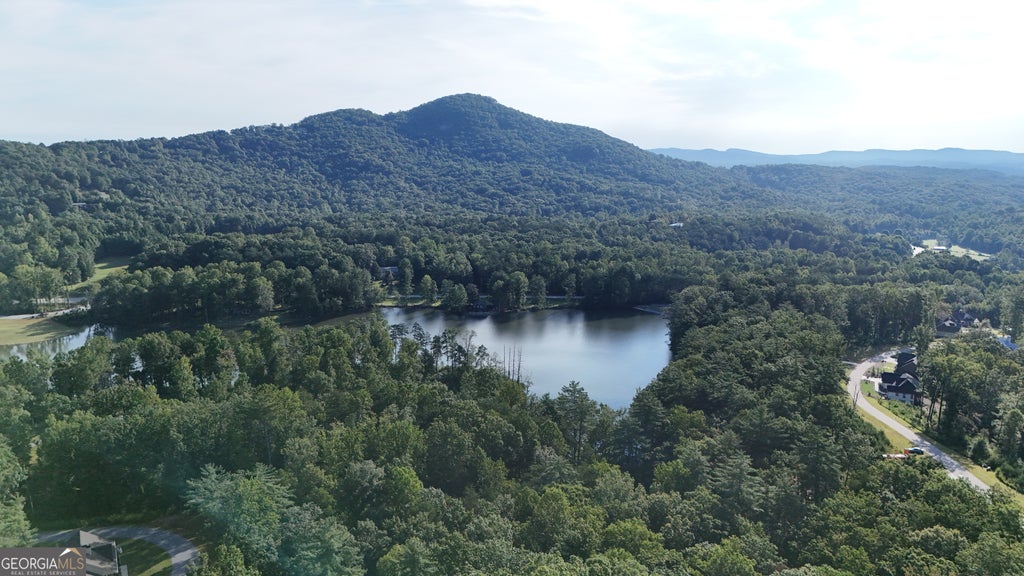 Photo of 0 Waterfall Lane, Sautee Nacoochee, GA 30571 (MLS # 10838796)