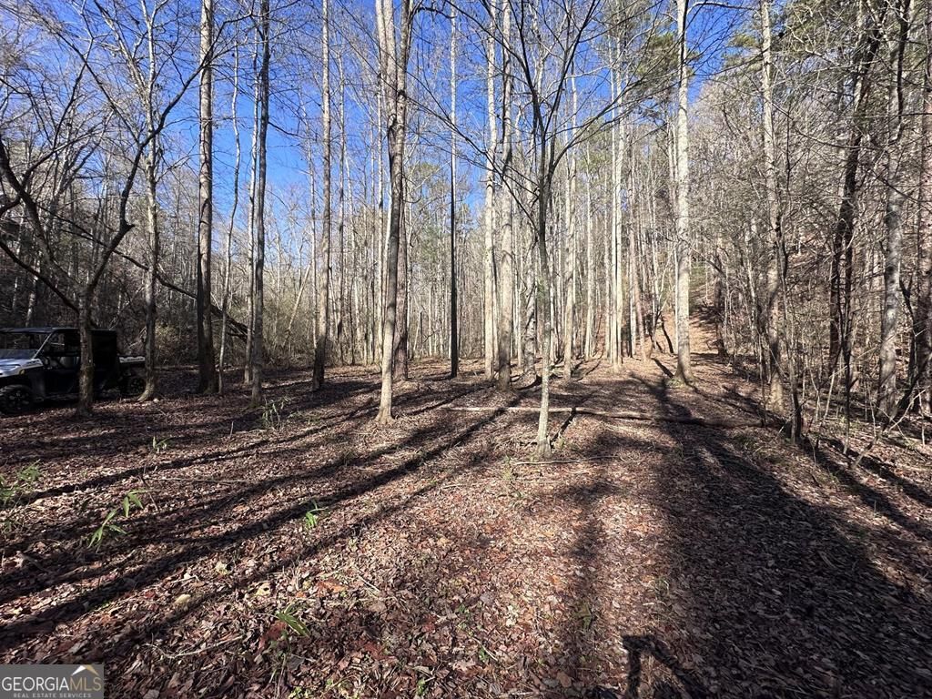 Photo of 94 Springfield Parkway, Ellijay, GA 30540 (MLS # 10682255)