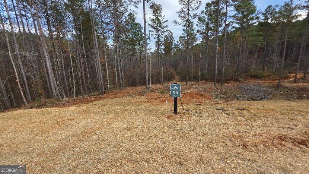 Photo of 94 Springfield Parkway, Ellijay, GA 30540 (MLS # 10682255)
