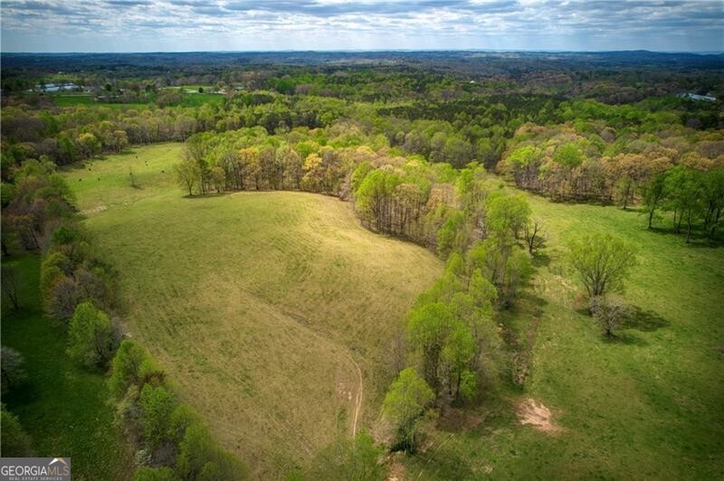 Jasper, Georgia 30143, United States, ,Land,Active,11427