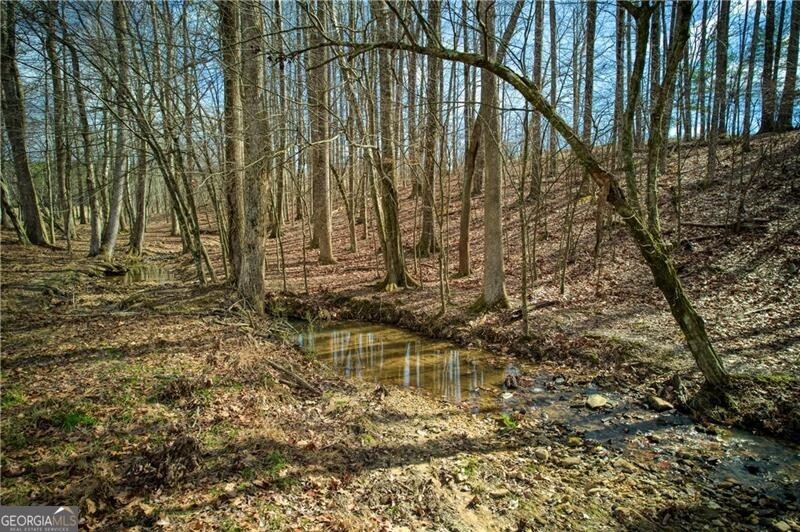 Jasper, Georgia 30143, United States, ,Land,Active,11427