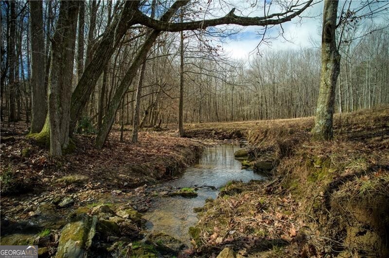 Jasper, Georgia 30143, United States, ,Land,Active,11427