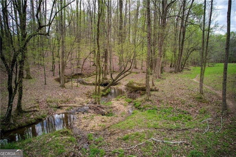 Jasper, Georgia 30143, United States, ,Land,Active,11427