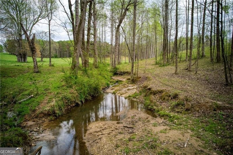 Jasper, Georgia 30143, United States, ,Land,Active,11427