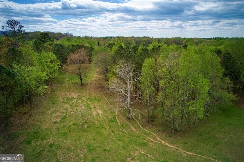 Jasper, Georgia 30143, United States, ,Land,Active,11427