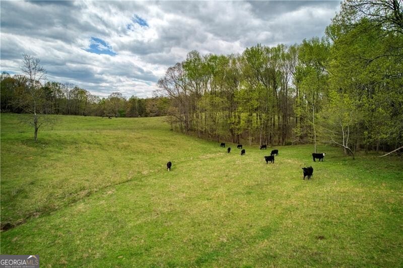 Jasper, Georgia 30143, United States, ,Land,Active,11427