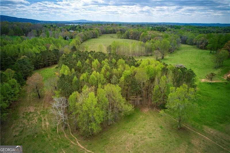 Jasper, Georgia 30143, United States, ,Land,Active,11427