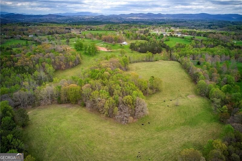 Jasper, Georgia 30143, United States, ,Land,Active,11427