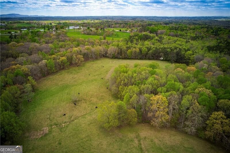 Jasper, Georgia 30143, United States, ,Land,Active,11427