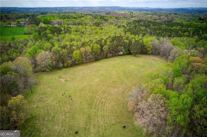 Jasper, Georgia 30143, United States, ,Land,Active,11427