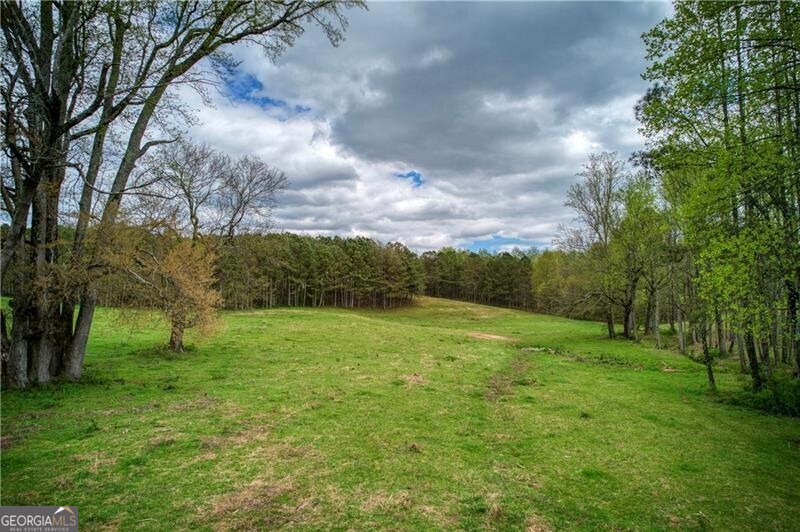 Jasper, Georgia 30143, United States, ,Land,Active,11427