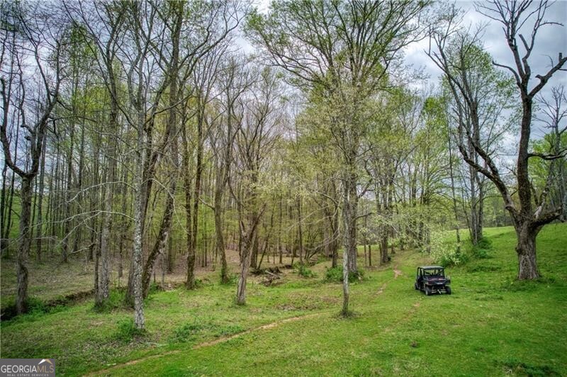 Jasper, Georgia 30143, United States, ,Land,Active,11427