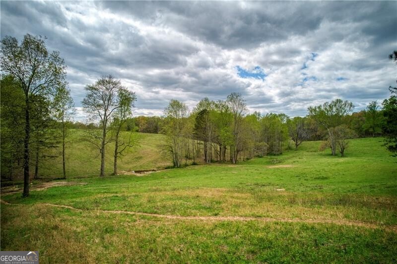 Jasper, Georgia 30143, United States, ,Land,Active,11427