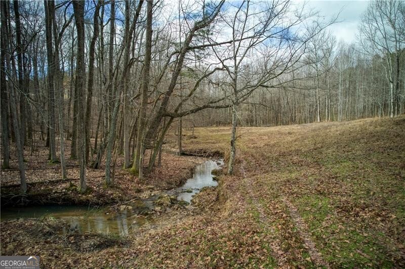 Jasper, Georgia 30143, United States, ,Land,Active,11427