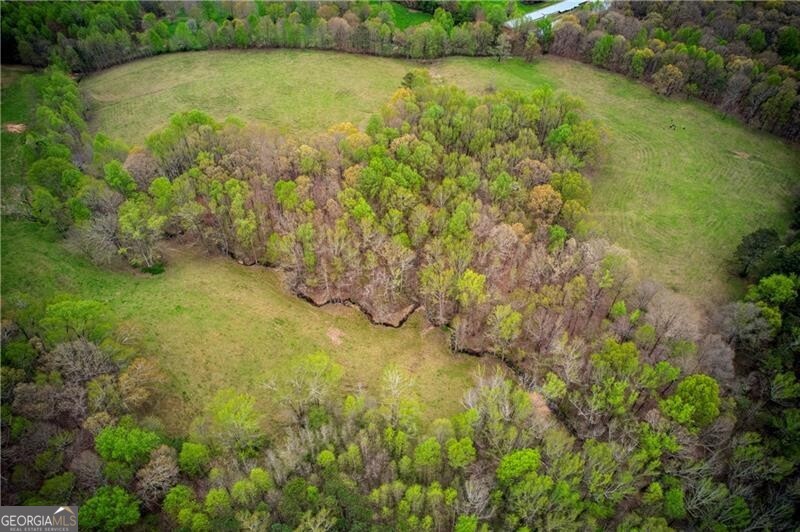 Jasper, Georgia 30143, United States, ,Land,Active,11427