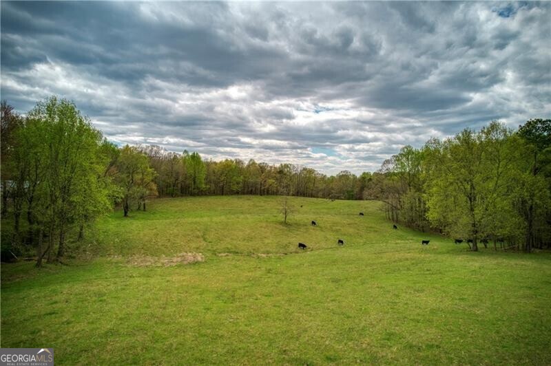 Jasper, Georgia 30143, United States, ,Land,Active,11427