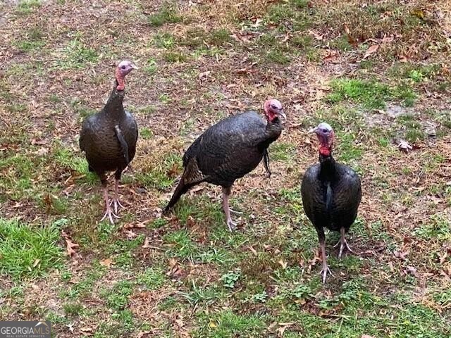 Jasper, Georgia 30143, United States, ,Land,Active,11427