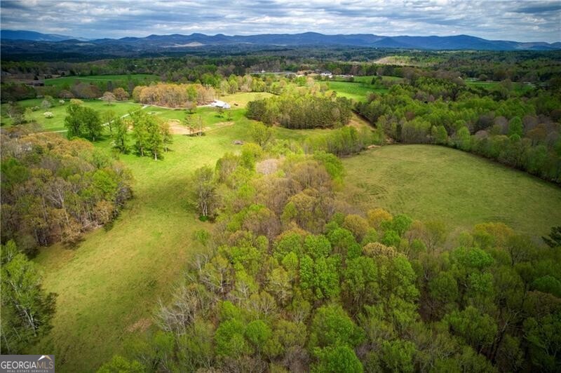 Jasper, Georgia 30143, United States, ,Land,Active,11427